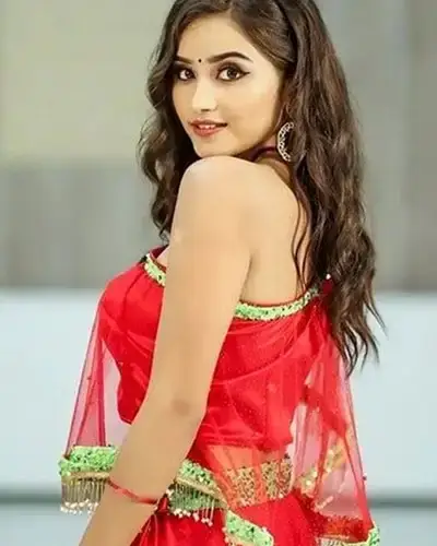 Call Girls Service Sullurpeta